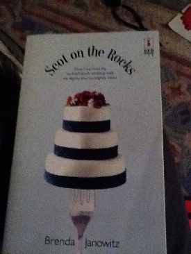 The Bride Stripped Bare