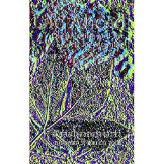 Things Not Seen (Things #1)