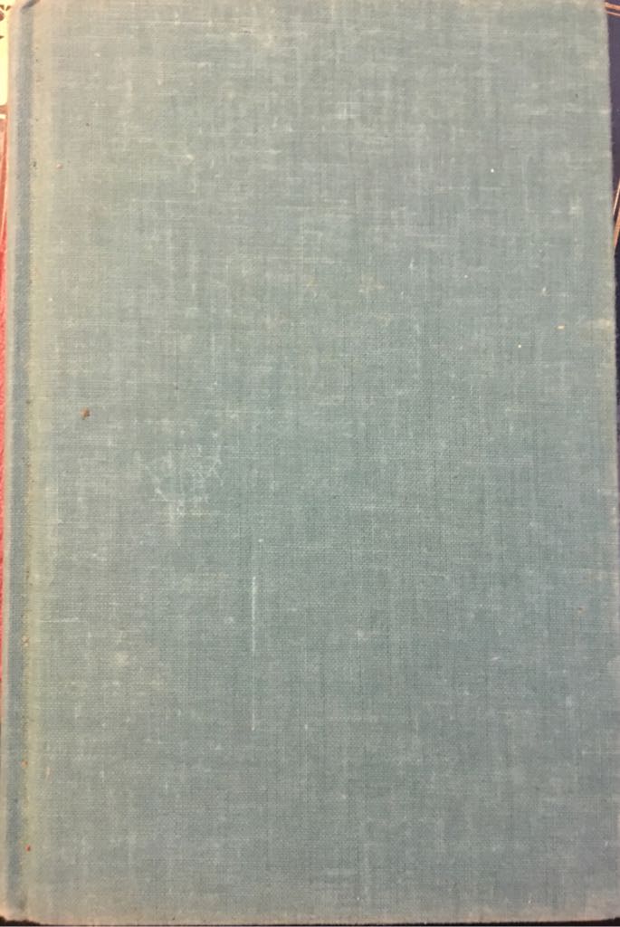 Image 3569032