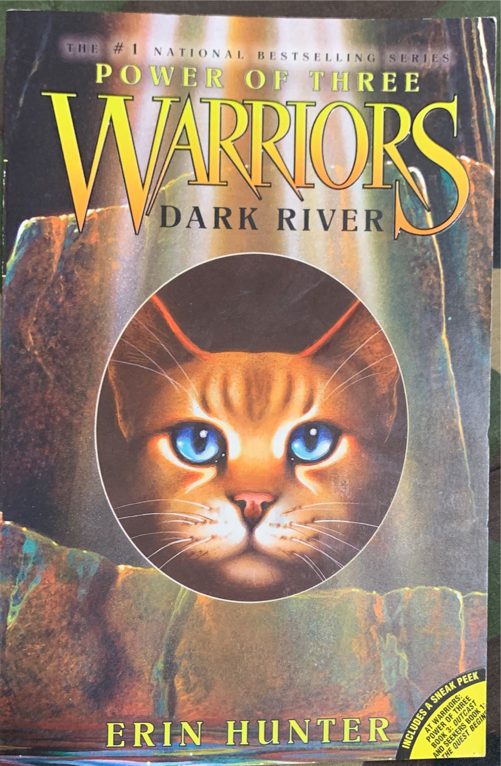 Dark River - Erin Hunter (HarperTrophy - Paperback) book collectible [Barcode 9780060892074] - Main Image 3