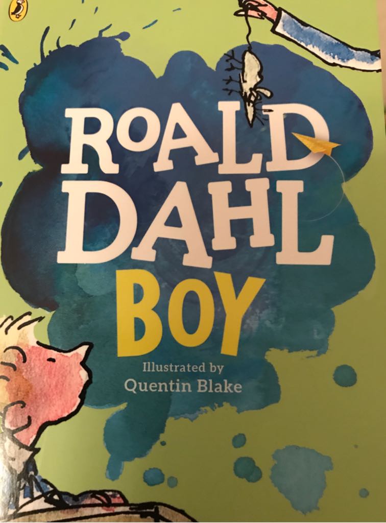 Boy - Roald Dahl (Puffin - Paperback) book collectible [Barcode 9780141371344] - Main Image 1