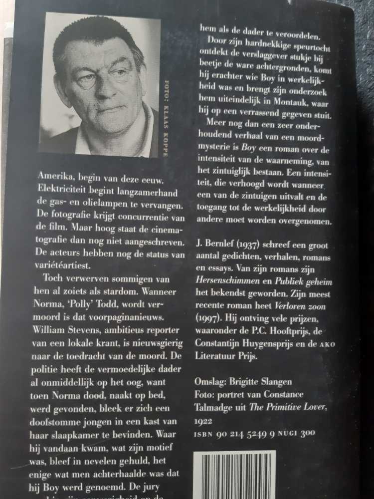 Boy - J. Bernlef (Querido - Paperback) book collectible [Barcode 9789021452494] - Main Image 2