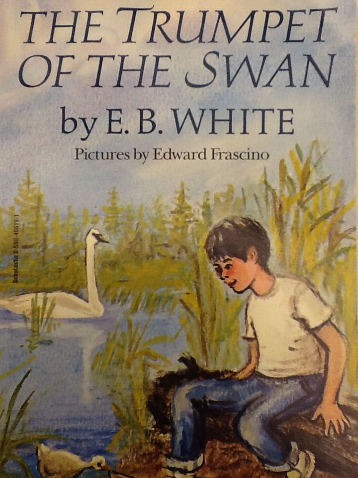 Image 3570535