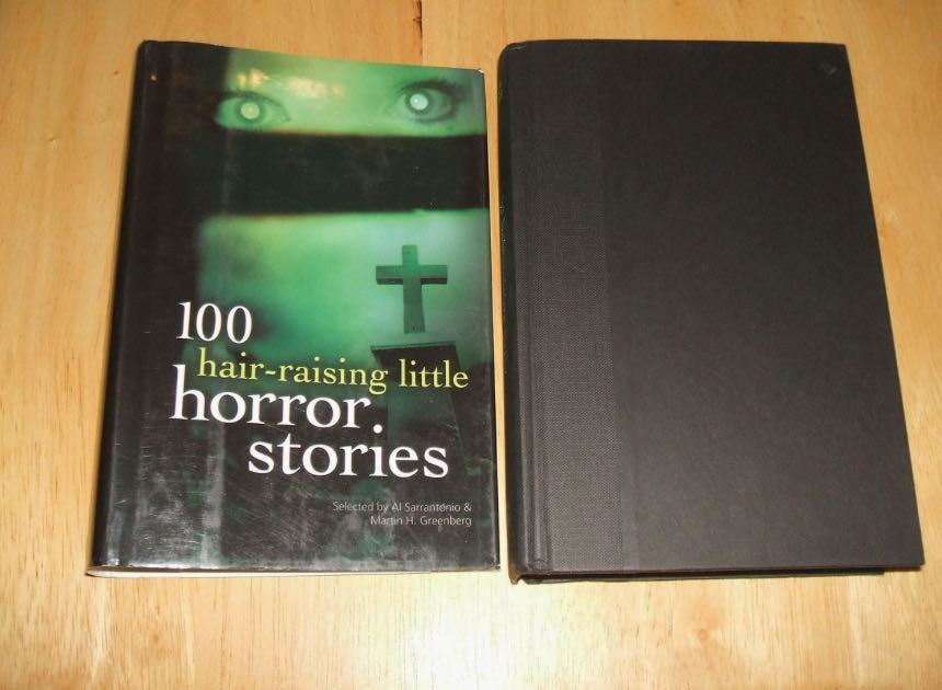100 Hair-Raising Little Horror Stories - Al Sarrantonio (Barnes & Nobles Books - Paperback) book collectible [Barcode 9781566199230] - Main Image 2
