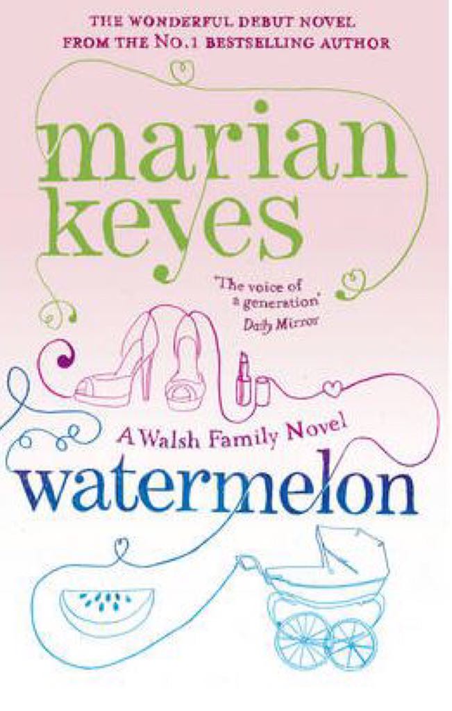 The Berenstain Bears And Too Much TV