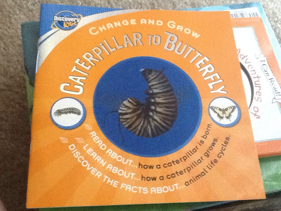 Caterpillar To Butterfly - Melvin Berger (Bugs/Insects) book collectible [Barcode 9781407550183] - Main Image 1