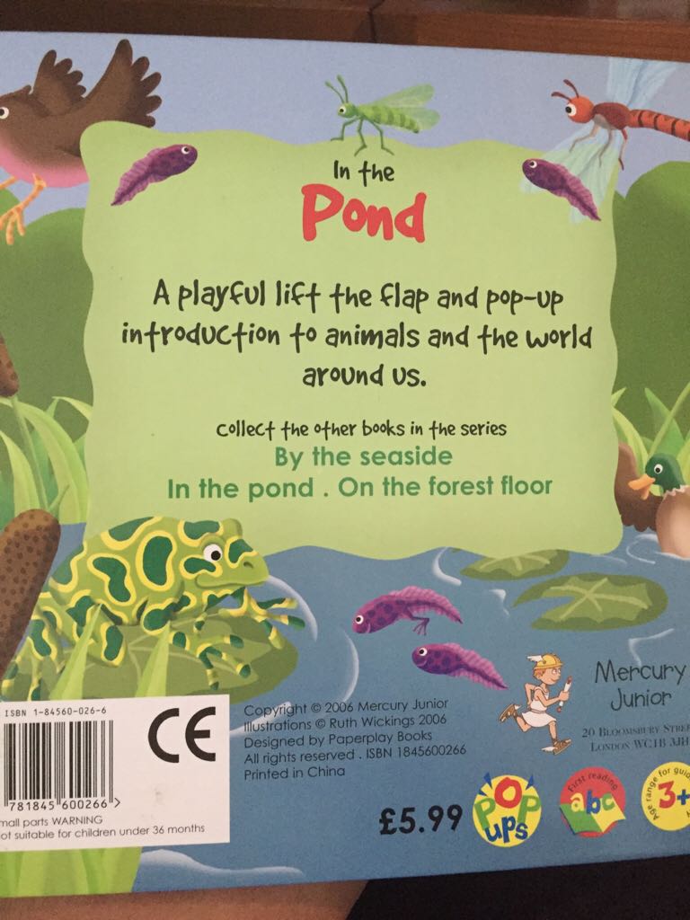 In The Pond - Ha Jin book collectible [Barcode 9781845600266] - Main Image 2