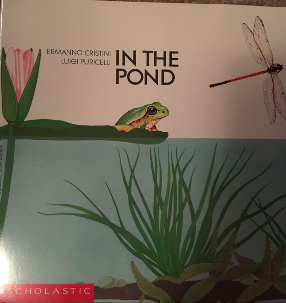 Cat Among The Pigeons