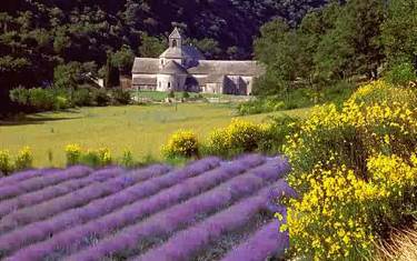 Provence  book collectible [Barcode 9782816106404] - Main Image 1