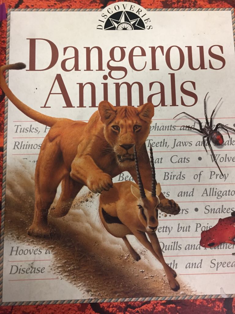 Mystify the Magician