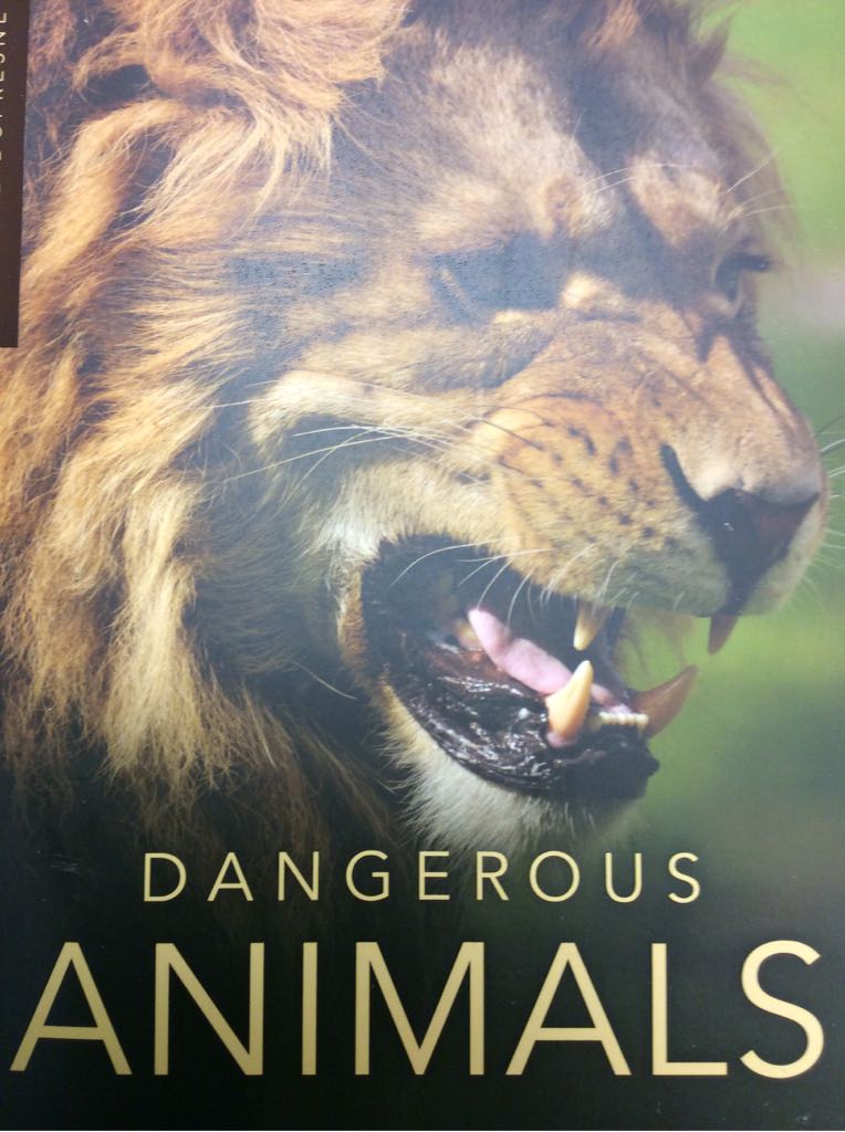 The Brontes Three Great Novels