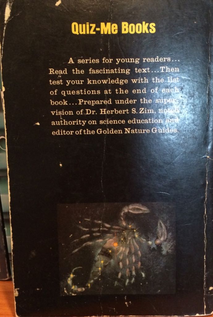 Constellations - Chris sasaki (Golden Press) book collectible - Main Image 2