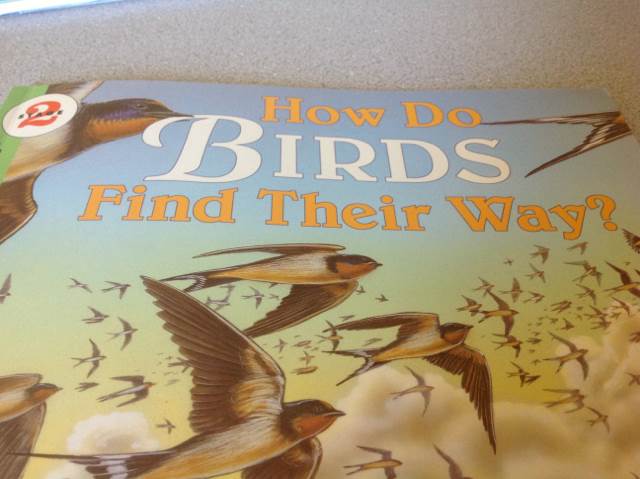 How Do Birds Find Their Way?  book collectible - Main Image 1