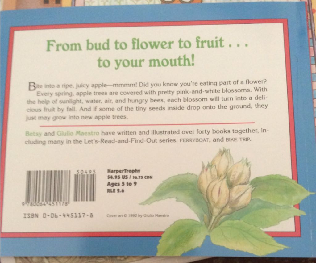 Let’s Read And Find Out Science Level 2 How Do Apples Grow? - Betsy Maestro (HarperCollins Children’s Books - Paperback) book collectible [Barcode 9780064451178] - Main Image 2