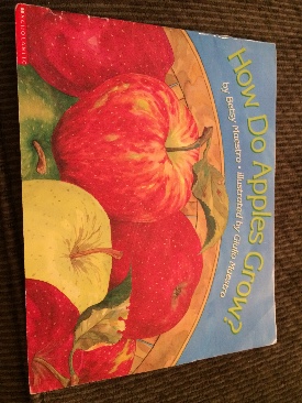 Image 3573845