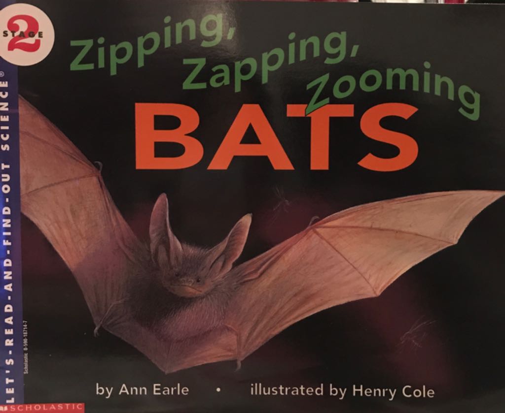 zipping Zapping Zooming Bats