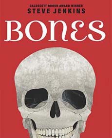 Bones - Jan Burke (Scholastic Inc. - Paperback) book collectible [Barcode 9780545046527] - Main Image 1