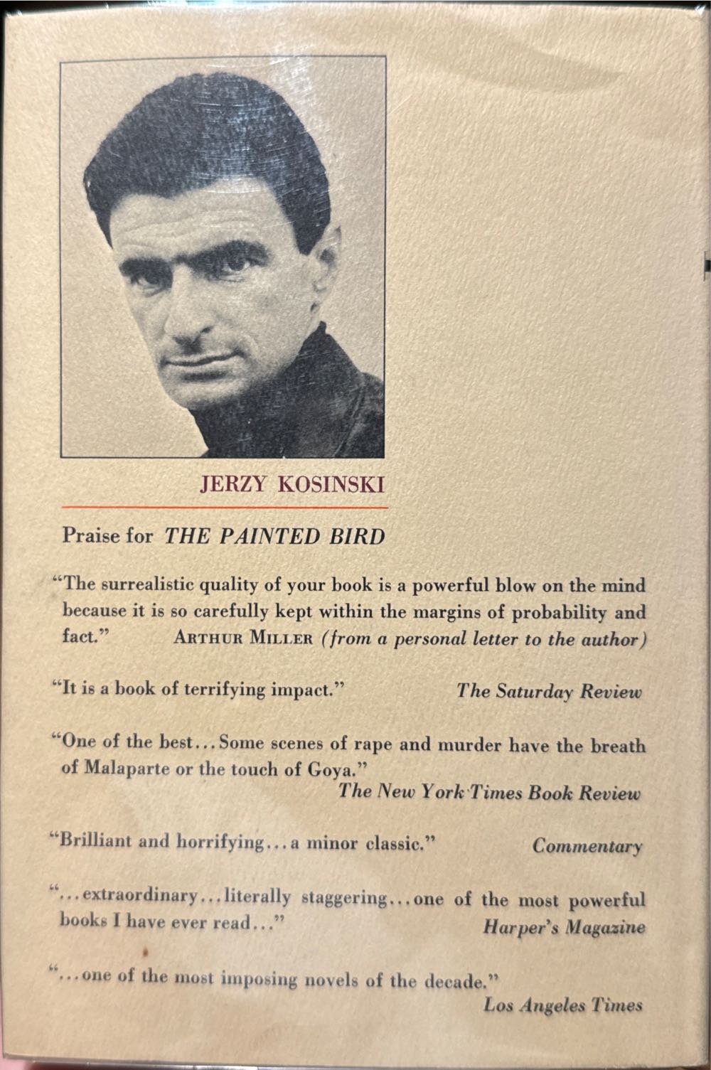 Steps - Rachel Cohn book collectible [Barcode 9780553233865] - Main Image 2