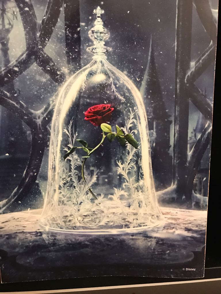 Beauty And The Beast - Della Rowland book collectible - Main Image 2