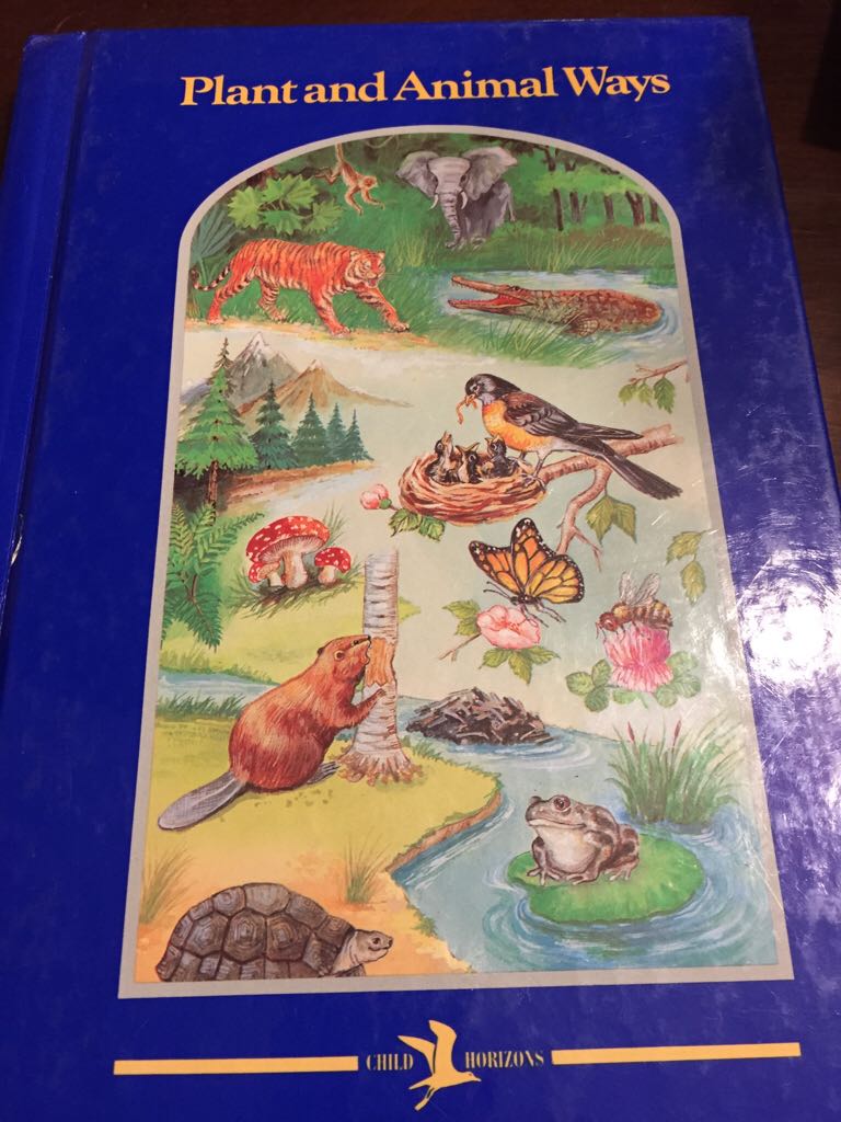 BIBLE: The Picture Bible