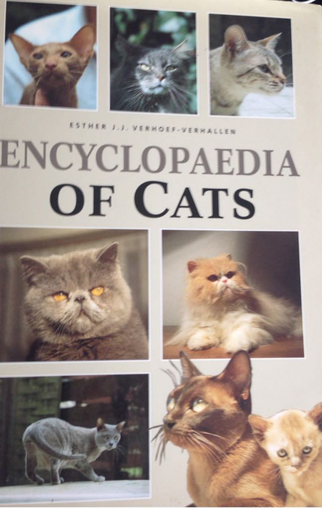 Image 3575962
