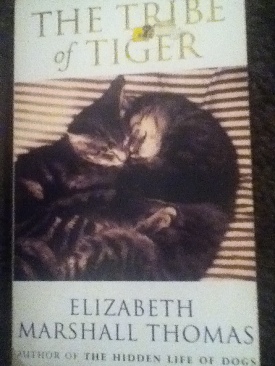 The Legend Of Sleepy Hollow