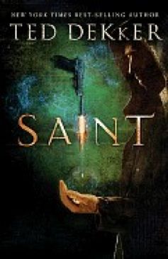 Saint - Ted Dekker (Thomas Nelson - Paperback) book collectible [Barcode 9781595546142] - Main Image 1