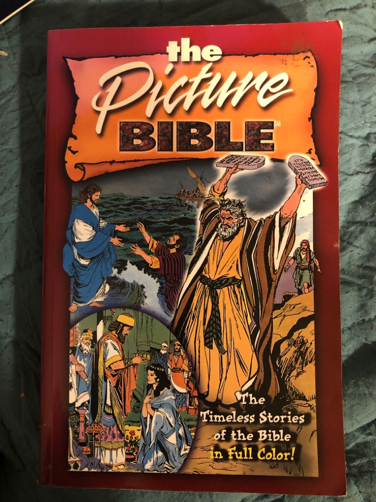The Picture Bible - Iva Hoth (David C Cook - Paperback) book collectible [Barcode 9780781430586] - Main Image 2