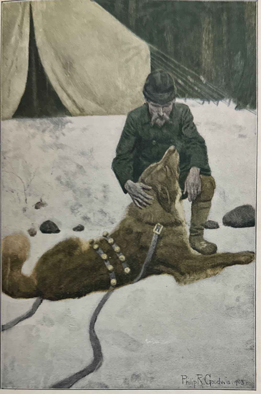 The Call Of The Wild - Jack London (The MacMillian Company - Hardcover) book collectible [Barcode 9780689818363] - Main Image 4