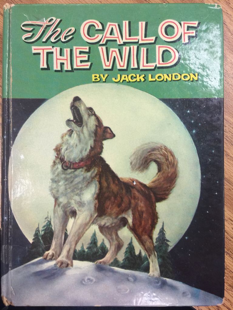 1001 Albums You Must Hear Before You Die