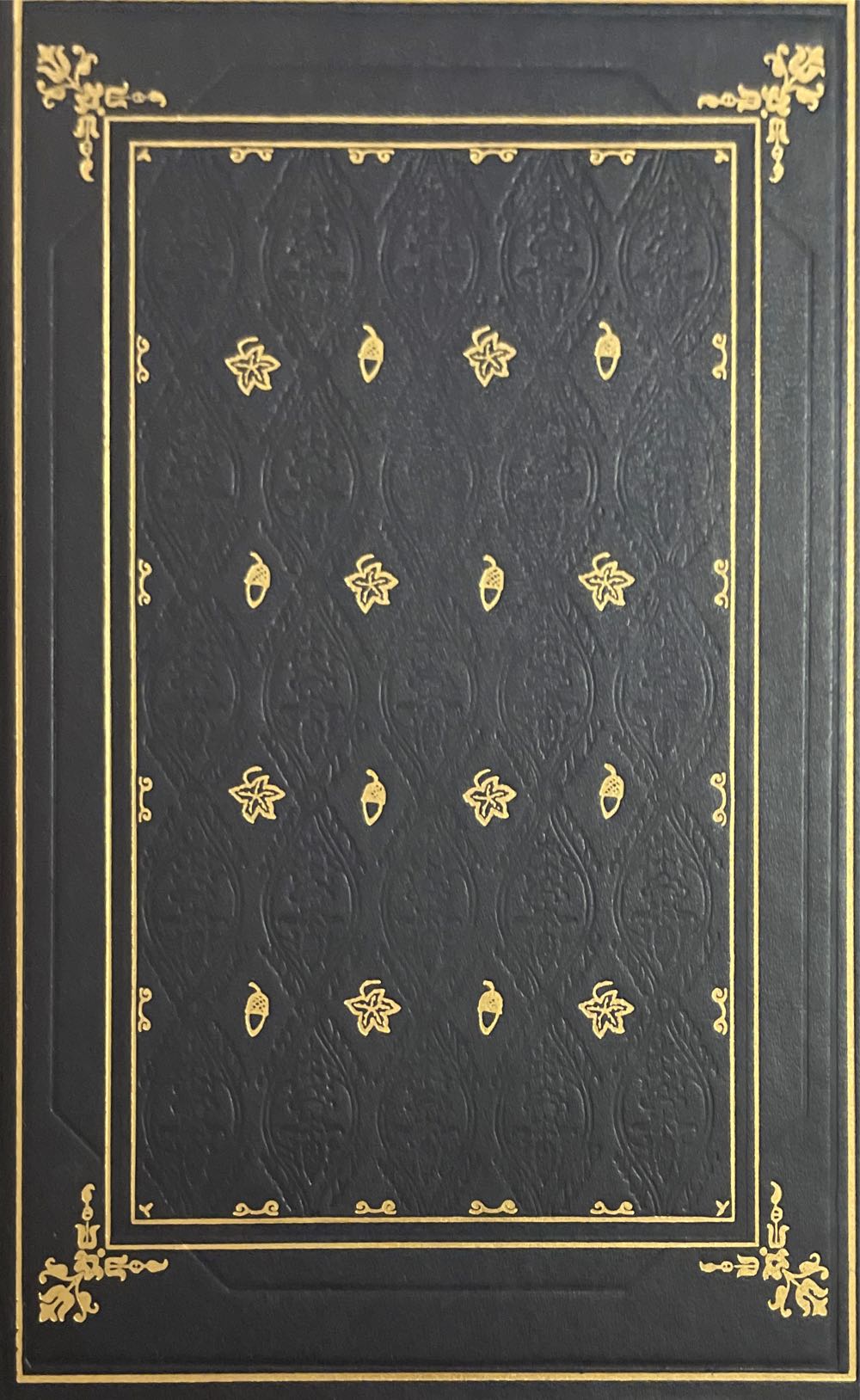 The Wizard Of Oz - L. Frank Baum (Barnes & Noble - Calf-Binding) book collectible [Barcode 9781435147614] - Main Image 3