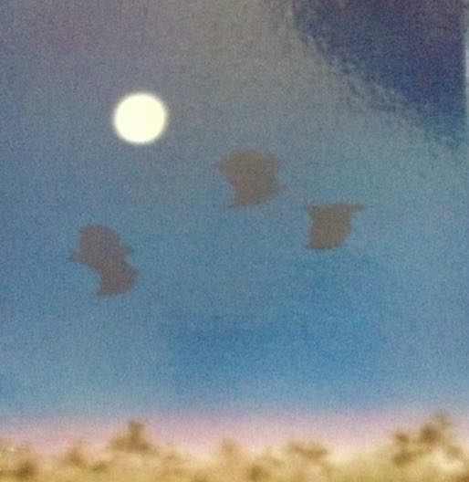 Stellaluna - Janell Cannon book collectible - Main Image 2