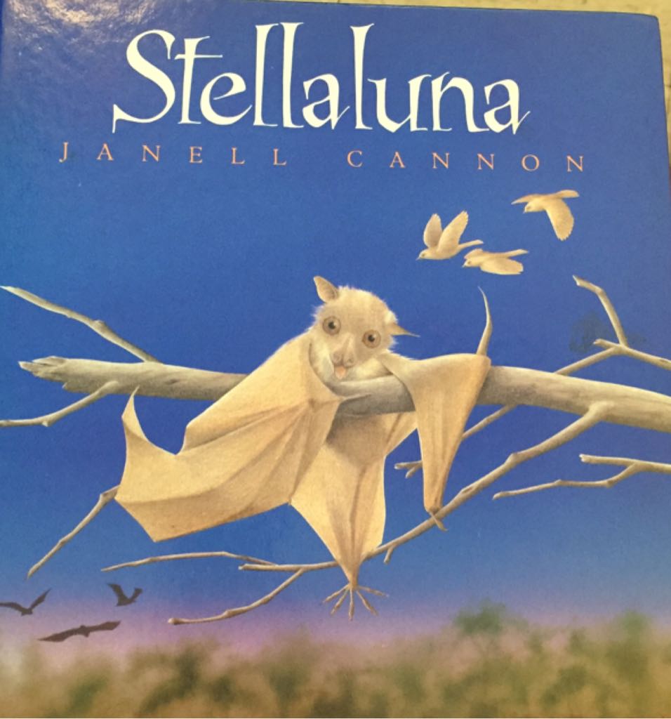 Dreams from My Father: a Story of Race and Inheritance