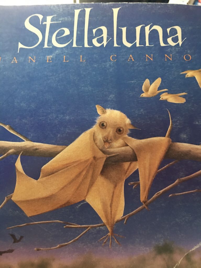 AA Iillustrated Guide To Country Towns And Villages