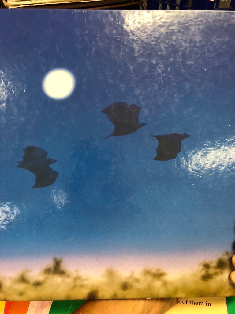 Stellaluna - Janell Cannon (Harvourt, Brace & World, Inc - Hardcover) book collectible - Main Image 2