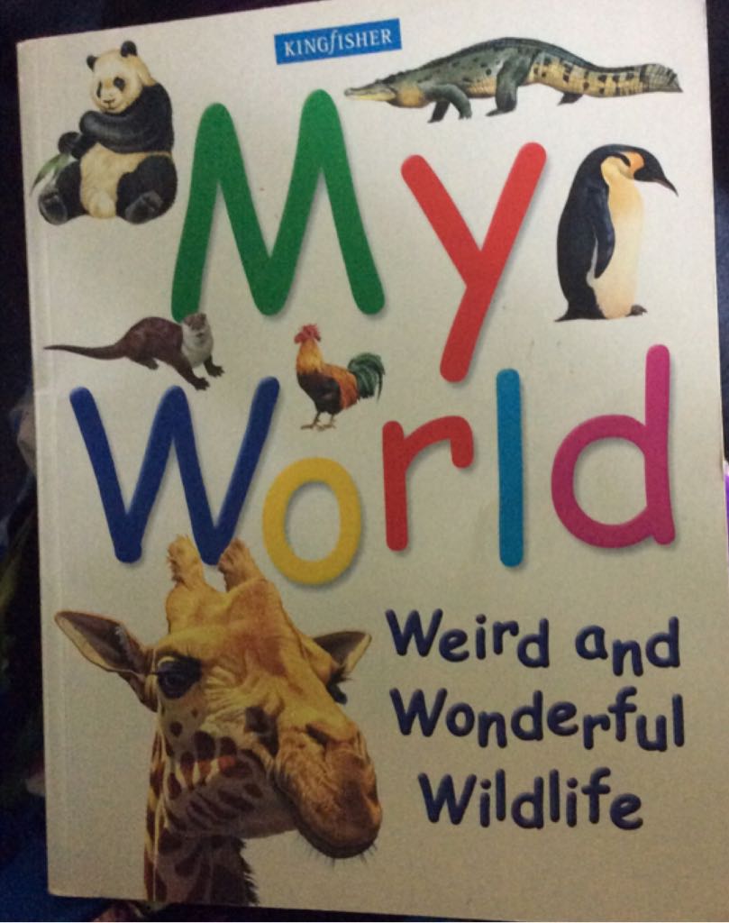 The Legend Of Sleepy Hollow