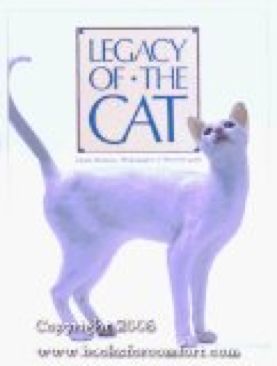 The Outstretched Shadow