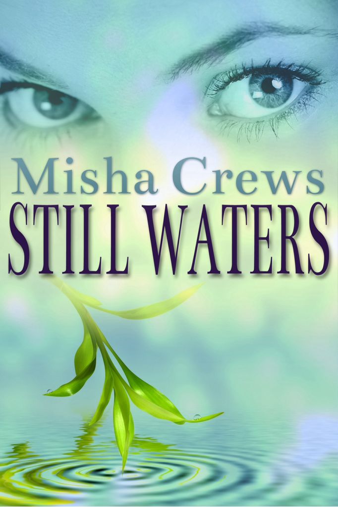 Still Waters - Shirlee McCoy book collectible [Barcode 9780985716707] - Main Image 1