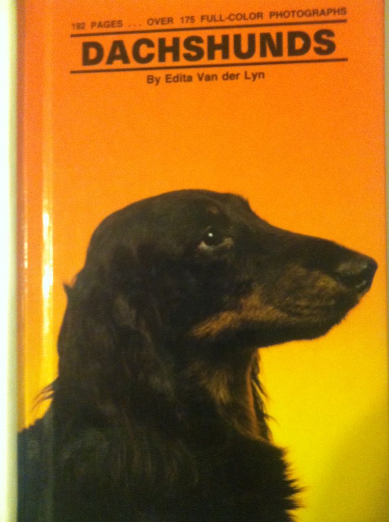 Image 3579742