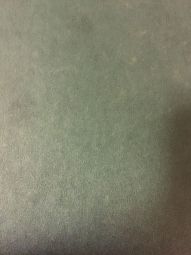 Image 3579890