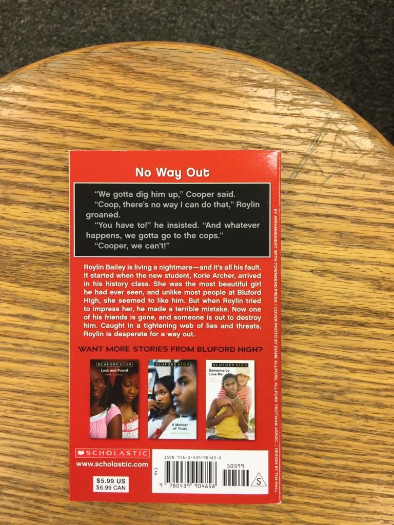 Secrets In The Shadows - Anne Schraff (Scholastic Press - Paperback) book collectible [Barcode 9780439904858] - Main Image 2