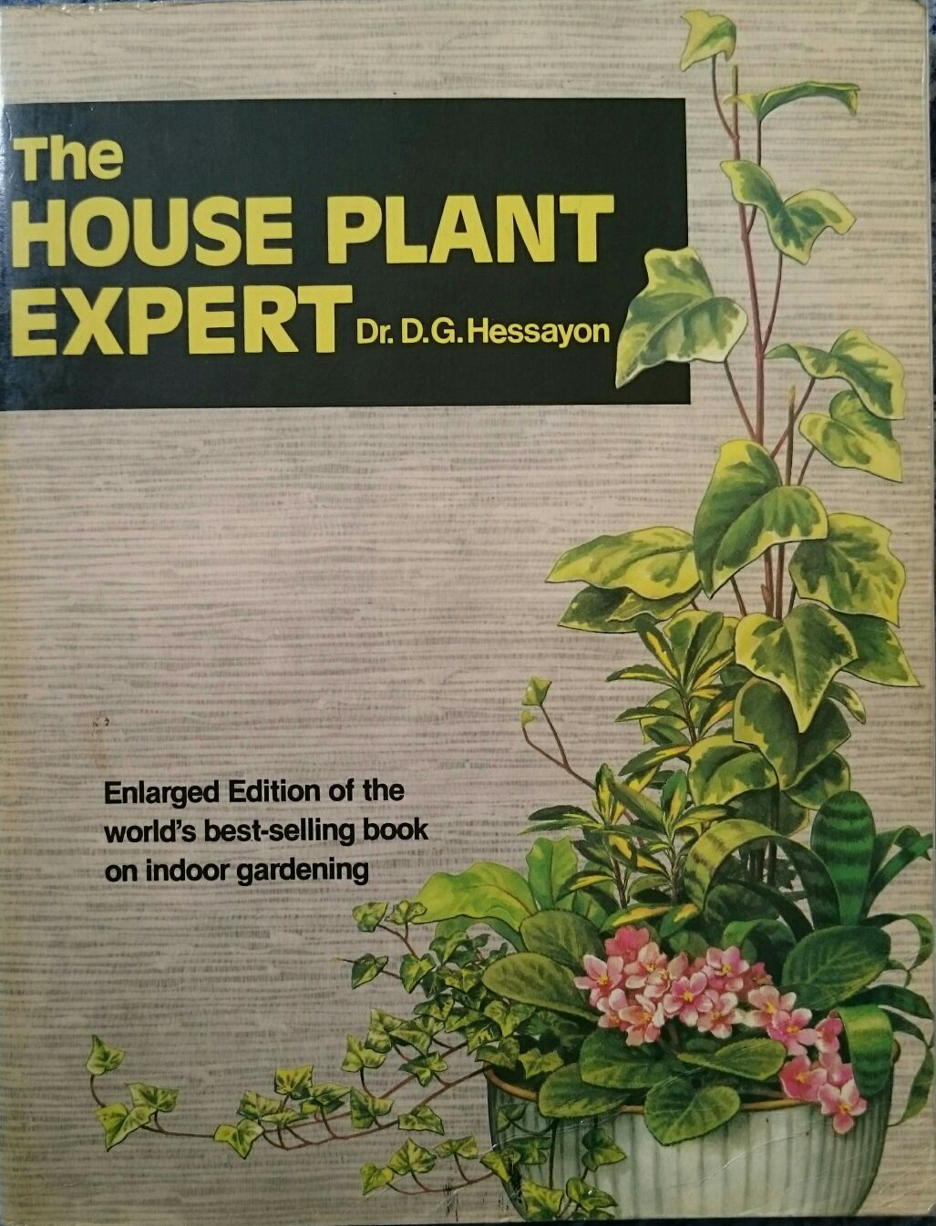 Password To Larkspur Lane