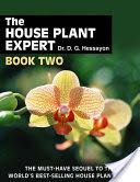 Grey King (1976N), The