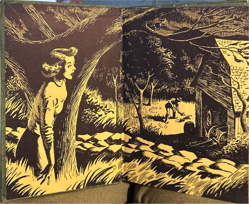 The Whispering Statue - Carolyn Keene (- Hardcover) book collectible - Main Image 2