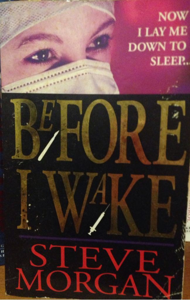 Before I Wake - Steve Morgan (Vintage) book collectible [Barcode 9780749314415] - Main Image 1