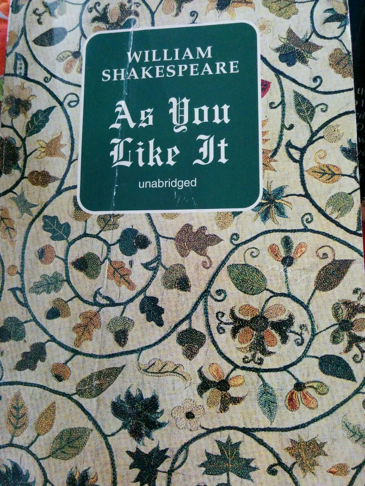 Best Friends Forever (Holly Hobbie & Friends)