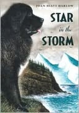 The Story of the Night