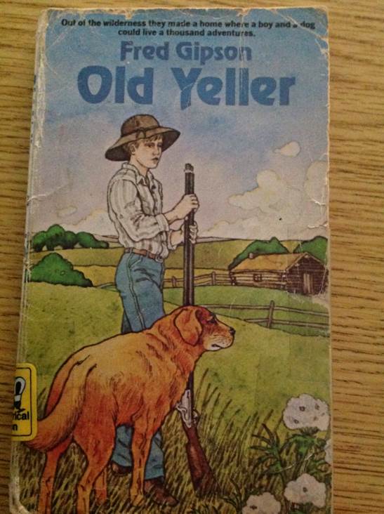 If You Could See Me Now