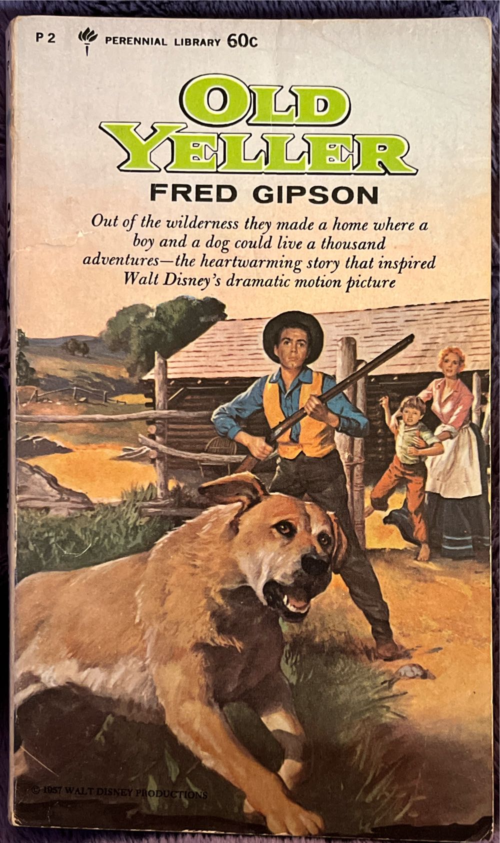 Old Yeller - Fred Gipson (Harper & Row Publishers, Inc. - Paperback) book collectible [Barcode 9780060800024] - Main Image 2