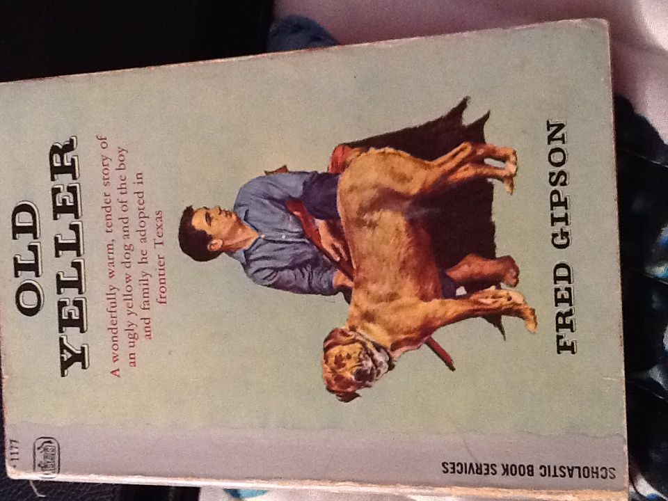 Image 3582264